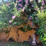 Casa Rita